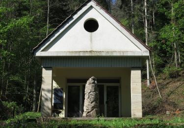 Tour Zu Fuß Rottenburg am Neckar - Sieben-Täler-Runde - Photo