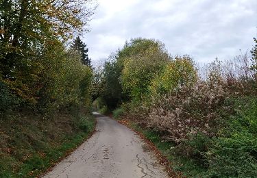 Randonnée Marche Tenneville - Boucle agricole - Le circuit de la ferme des Frênes - Photo