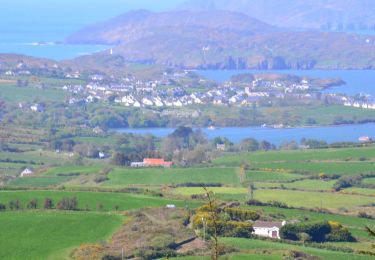 Randonnée A pied West Cork - Walk 5 - Lough Hyne (7km) - Photo