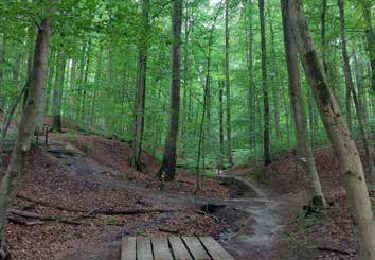 Excursión Senderismo Watermael-Boitsfort - Watermaal-Bosvoorde - RF-BB-03 - Bruxelles - Boitsfort - Grande Boucle - 2025-03-03 - Photo