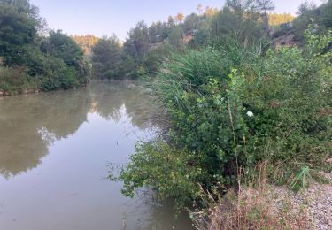 Randonnée Trail Sainte-Tulle - Le Trou du Loup(17K 520D+) - Photo