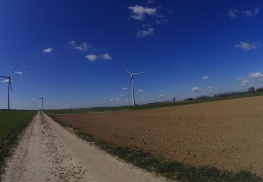 Excursión Bici de montaña Fleurus - ransart 03-04 - Photo