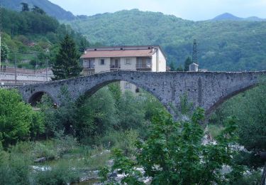 Tocht Te voet Busalla - Ronco - Minceto - Reopasso - Photo