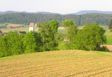 Excursión A pie Schöfflisdorf - Schöfflisdorf-Oberweningen - Stadel - Photo