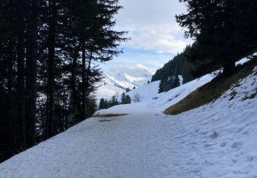 Percorso Racchette da neve La Clusaz - La Clusaz - la croix Fry - Photo