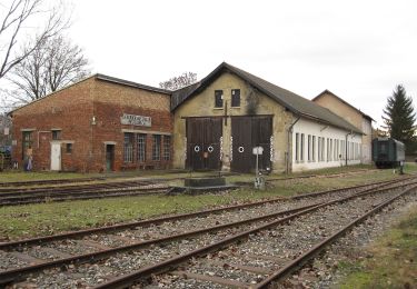 Percorso A piedi Gemeinde Mistelbach - MistelbachAktivRing - Photo