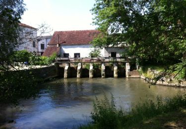 Trail Walking Saint-Ouen-sur-Morin - Les tocards de BOITRON.2 - Photo