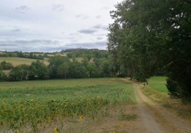 Trail Walking Castelnau-de-Montmiral - Chemins Montmiralais - Photo