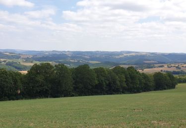 Excursión Bici de carretera Youx - Boucle Youx - St Gervais - Neuf Eglise  - Photo