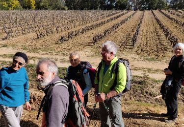 Percorso Marcia Roquebrune-sur-Argens - Roquebrune 25 ponts - Photo