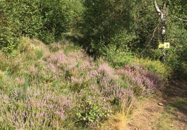 Tocht Stappen Chaudes-Aigues - Ballade dans les bois - Photo