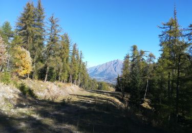 Trail Walking Laye - grande cuque 1018 - Photo
