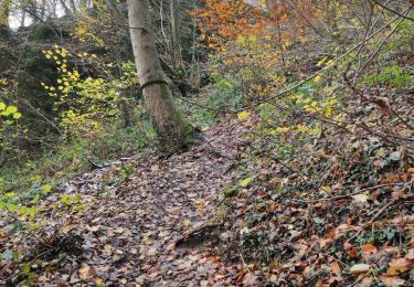 Tour Wandern Namen - boucle boninne Marche + bus namur - Photo