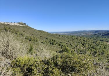 Trail Walking Thézan-des-Corbières - cirque de Viviès Chantal  - Photo