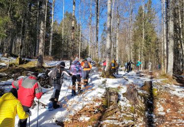 Tour Wandern Bois-d'Amont - D Jura - jeudi 23-01-2020 - La roches du Creux - Photo