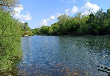 Randonnée Marche Viols-le-Fort - thezan les Béziers  - Photo