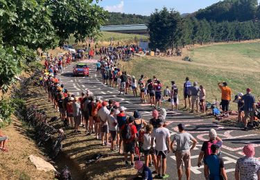 Tour Zu Fuß Saint-Martin-en-Haut - Circuit des Sources du Garon - Photo