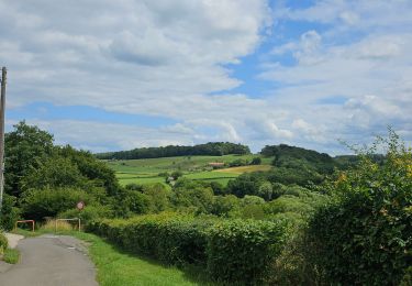 Trail Walking Verviers - A la découverte de Stembert 🥾 - Photo