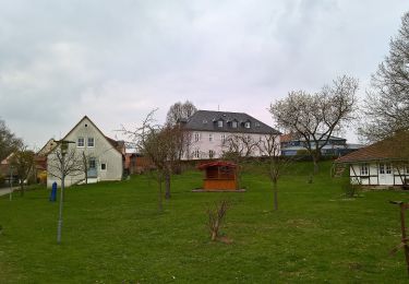 Randonnée A pied Cölbe - Extratour Junkernpfad - Photo