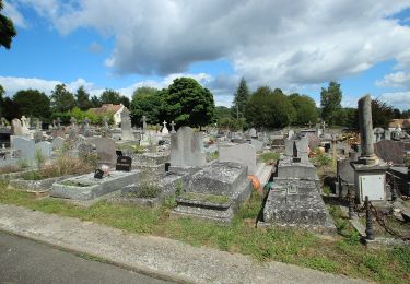 Percorso A piedi Le Mesnil-Saint-Denis - Liaison douce le Mesnil - Cheuvreuse - Photo