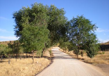 Percorso A piedi Alcalá de Henares - Ruta del Ecce-Homo - Photo