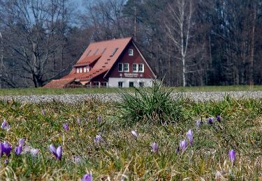 Tocht Te voet Calw - AugenBlick-Runde Bad Teinach (Zettelberg) - Photo