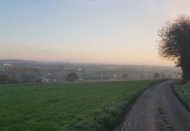 Tour Wandern Walcourt - Adeps Thy-le-Chateau - Photo