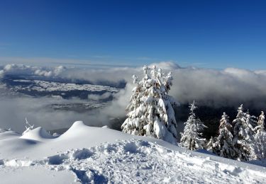 Trail Snowshoes Entremont-le-Vieux - Pointe-la Cochette-2020-12-13 - Photo