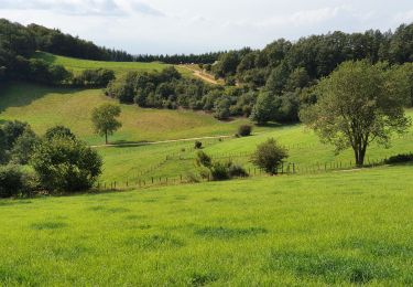 Excursión Senderismo Yzeron - Yzeron - Les hauteurs d'Yzeron - Photo