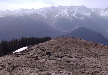 Trail Walking Benque-Dessous-et-Dessus - 2021 - 02 - 26  Benqué - montagne d'Espiau - croix de Garin - Cromlech (Luchonais) - Photo