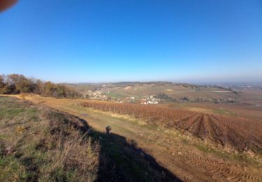 Tocht Stappen Saint-Vallerin - rando autour de rimont (suite) - Photo