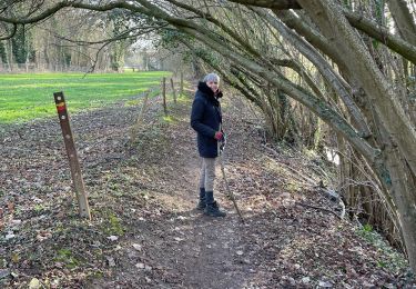 Trail Walking Chaumont-Gistoux - Tour Dion Bonlez  - Photo