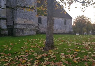 Tocht Stappen Marolles - Marolles - Photo