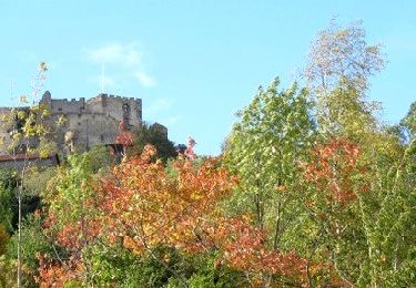 Trail Walking Volvic - Volvic_Puy_Banniere_Tour - Photo