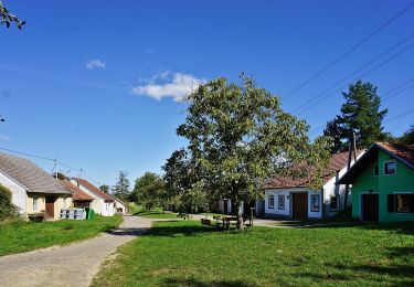 Tour Zu Fuß Gemeinde Atzenbrugg - Rosaliarundweg - Photo