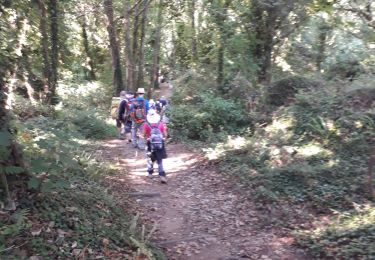 Tour Wandern Perros-Guirec - Trégastel-Perros-Guirec : Vallée du Taouiero - Photo