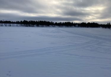 Tocht Sneeuwschoenen  - Vuopio lake tour - Photo