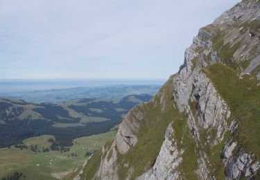 Trail On foot Wildhaus-Alt St. Johann - Tierwies - Langebüel - Photo