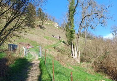 Percorso Marcia Visé - montagne st pierre 12 km7oo - Photo