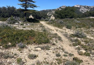 Tour Pfad Cheval-Blanc - Regalon-Mayorques-TrouduRat(24K 520D+) - Photo