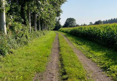 Trail Walking Cramchaban - cramchaban - Photo