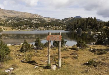 Excursión Senderismo Les Angles - Lacs de Bouillouse Pyrénnées - Photo