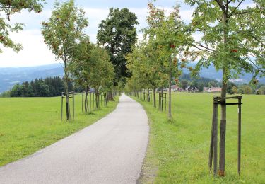 Randonnée A pied Jablonec nad Jizerou - [Ž] Jablonec n. Jiz. - Hvězda - Photo