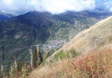 Excursión Senderismo Oz - Lacs de l'Alpe d'Huez en circuit - Photo