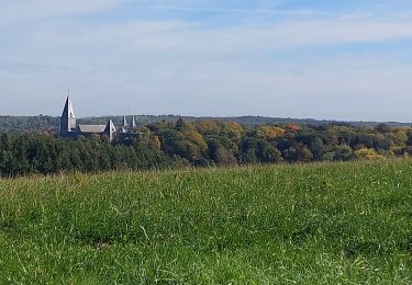 Tour Wandern Mettet - ermeton sur biert (dép football) rando Pirou - Photo