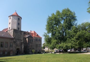 Trail On foot Goseck - Goseck-Lobitzsch-Rundweg - Photo