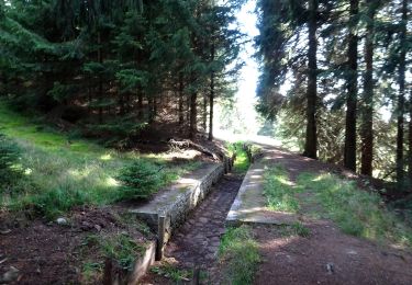 Percorso A piedi Potůčky - NS Blatná - Vlčí jámy - Photo