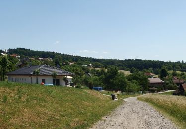 Excursión A pie Jasenná - NS Portášská - Photo