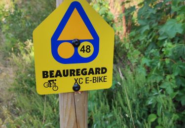 Tour Elektrofahrrad La Clusaz - la Clusaz Beauregard Crêt du merle  - Photo