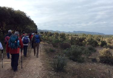 Tour Wandern Orgon - PF-Orgon - La Plaine des Alpilles - Photo